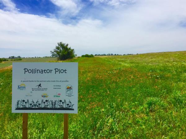 Pollinator Project